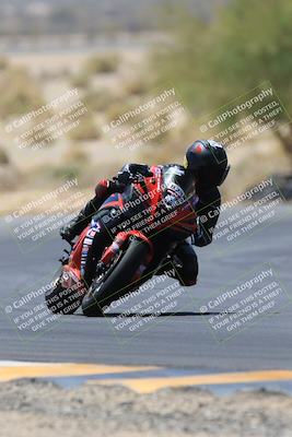 media/May-14-2023-SoCal Trackdays (Sun) [[024eb53b40]]/Turn 5 Tree of Life (1125am)/